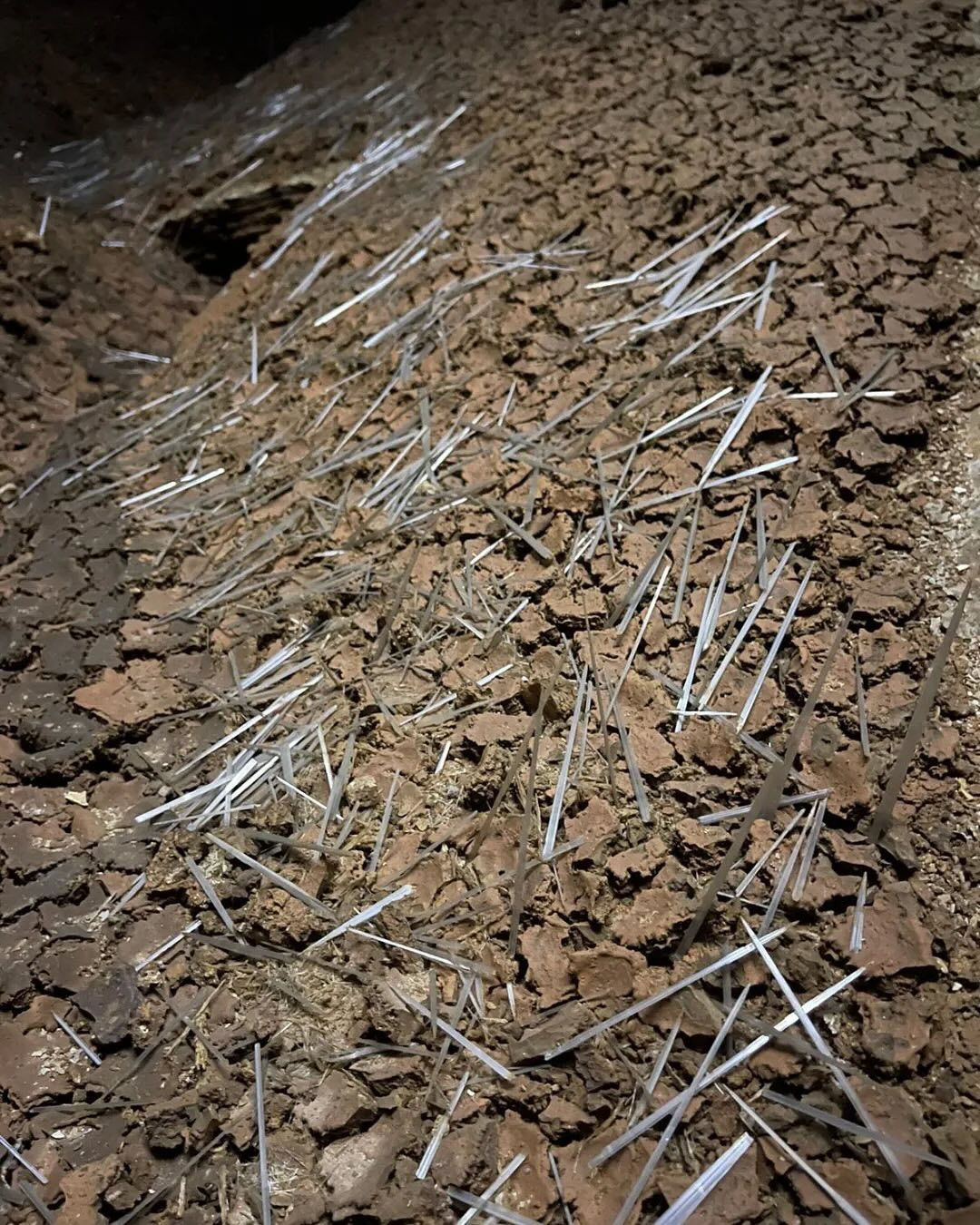 Agulhas de gipsita da Caverna Torrinha